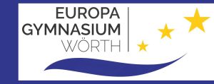 Logo von Unternehmen GY Wörth